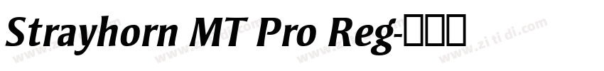 Strayhorn MT Pro Reg字体转换